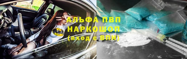 СК Алзамай