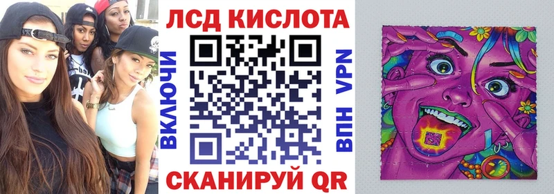 kraken как войти  Прохладный  Наркотические марки 1,5мг 