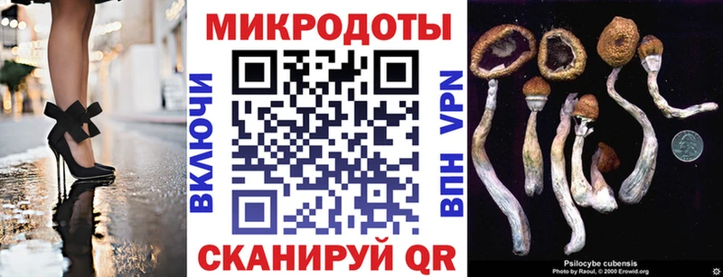 Псилоцибиновые грибы Psilocybe  Прохладный 